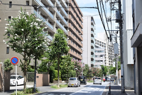 Obraz Residential area of Suburban of Yokohama, Japan