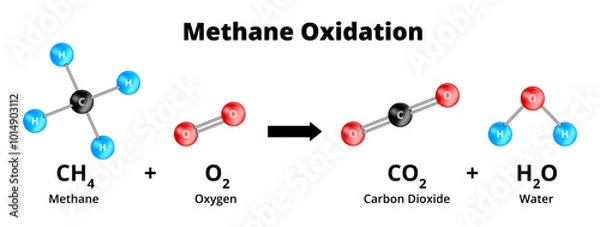 Obraz Oxidation of atmospheric methane, combustion of methane. Vector chemical illustration. Chemical equation CH4 + 2O2 = CO2 + 2H2O. Oxidation-reduction or redox reaction isolated on white background.