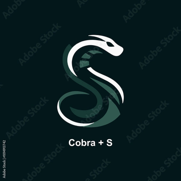 Obraz Cobra + S