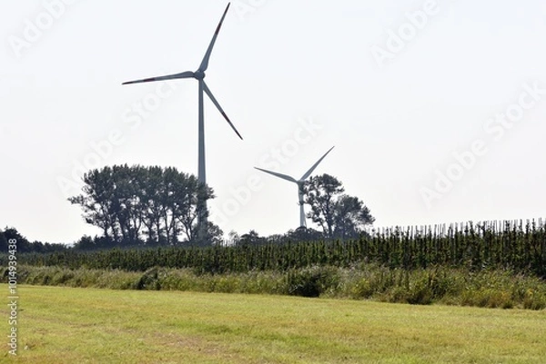 Fototapeta A typical northern German landscape with an orchard, a grass field and two wind turbines in the background.