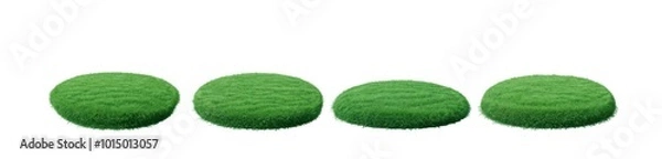 Obraz circular green grass (PNG)
