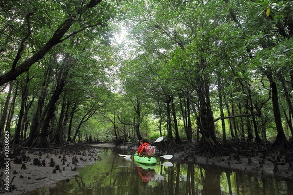Fototapeta カヤック