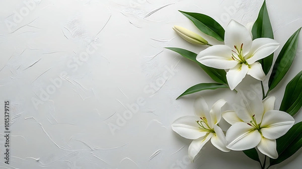 Obraz Elegant Funeral Program Template with White Background and Lily