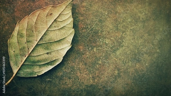 Fototapeta   A green leaf rests atop a brown floor adjacent to a wall with alternating shades of green and brown, framed by a black border