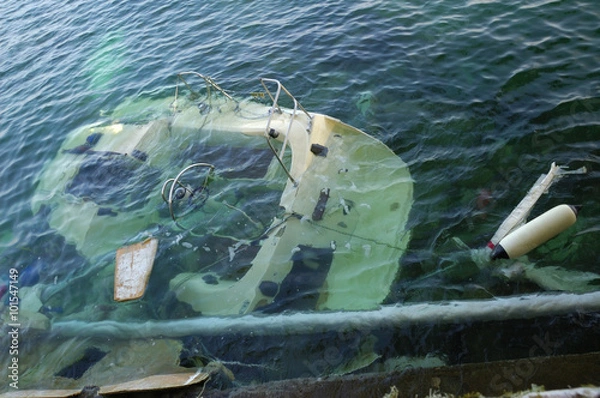 Obraz Sunken Boat