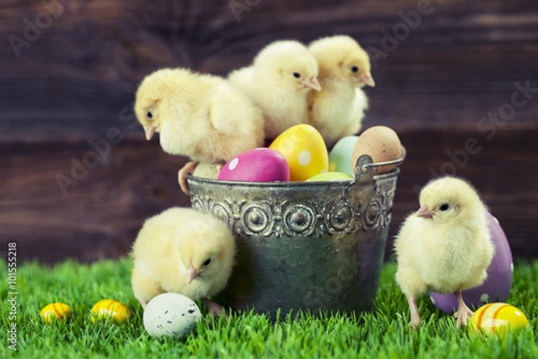 Fototapeta Bucket full of easter eggs and chicken