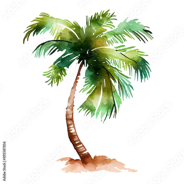 Fototapeta Palm Tree watercolor art isolated on white background. Tropical green Hawaiian flora, summer palm watercolour hand drawn painting for greeting card, travel, vacation or holidays designs or prints