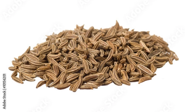 Fototapeta Nasiona kminku suszonego zbliżenie na białym tle