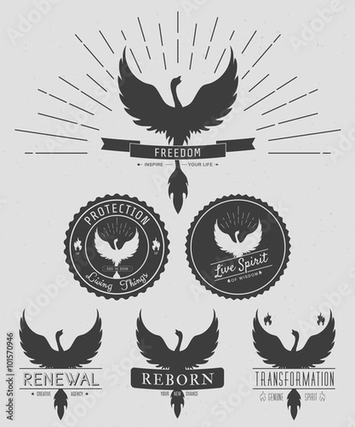 Obraz vector set of phoenix symbol vintage  logos, emblems, silhouettes and design elements. Symbolic and mystical logos with grunge textures