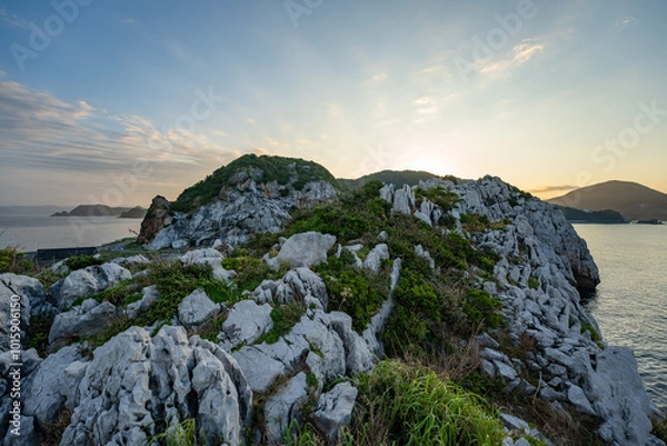 Obraz 白崎海洋公園