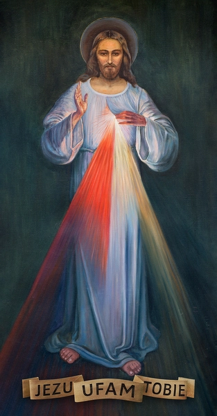 podgląd zdjęcia
