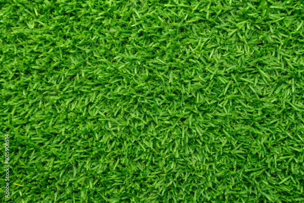 Fototapeta Green grass texture background. Generative AI.