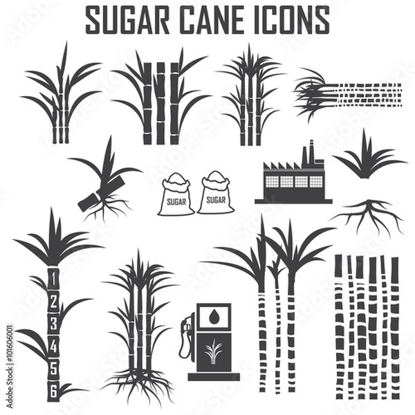 Obraz sugar cane icons vector.