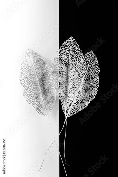 Obraz silver decorative leaf
