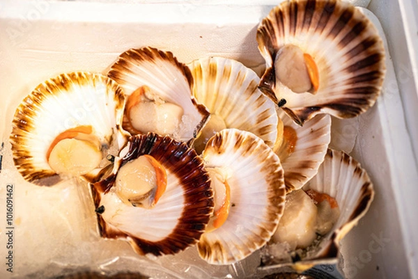 Fototapeta Opened shellfish reveal their delicate flesh, ideal for use in menus or food blogs focused on fresh seafood dishes.