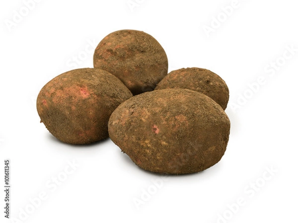 Obraz Organic Dirty Red Cara Potatoes