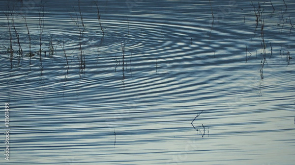 Obraz Ripple on the surface of the water,