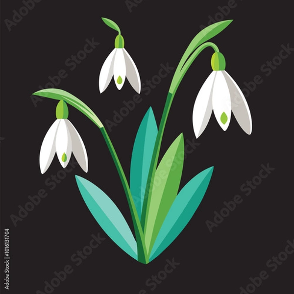 Fototapeta How To create snowdrop flower Vector 3D Image.