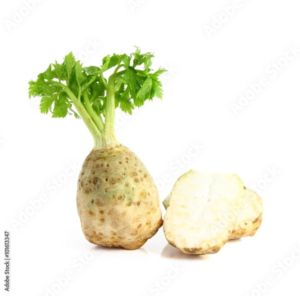 Fototapeta celery root with leaf