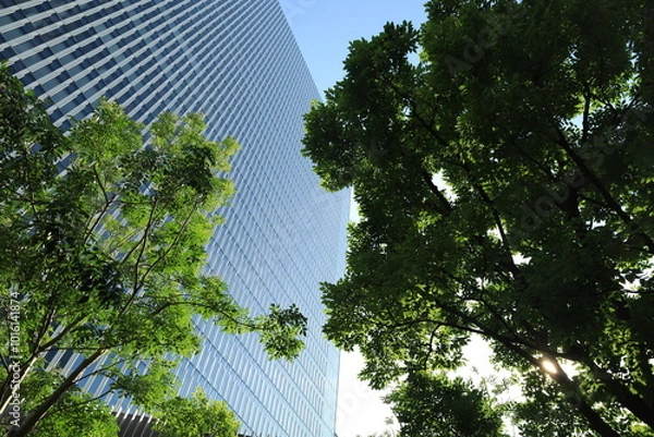 Obraz 横浜みなとみらいにある高いビジネスビルや施設のある都市風景