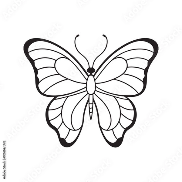 Obraz Butterfly silhouette vector illustration. isolated on white background.
