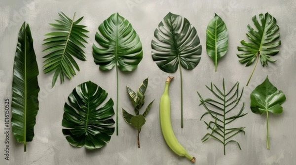 Fototapeta An array of lush, green tropical leaves arranged neatly display the beauty of nature with their varied shapes and sizes.