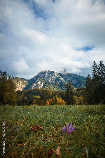 Fototapeta a walk in the mountains, a trip to the mountains, a hike in the mountains