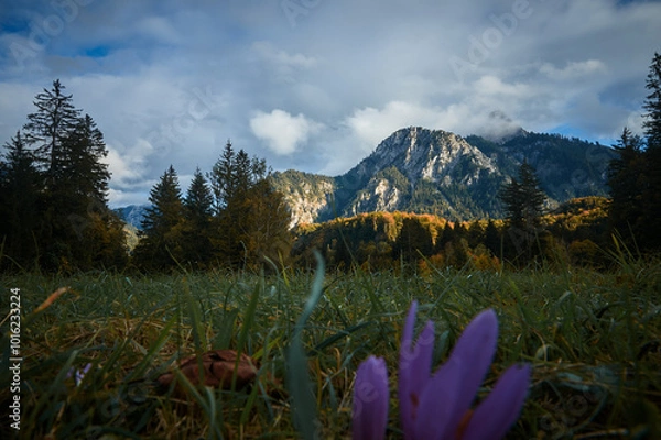 Fototapeta a walk in the mountains, a trip to the mountains, a hike in the mountains