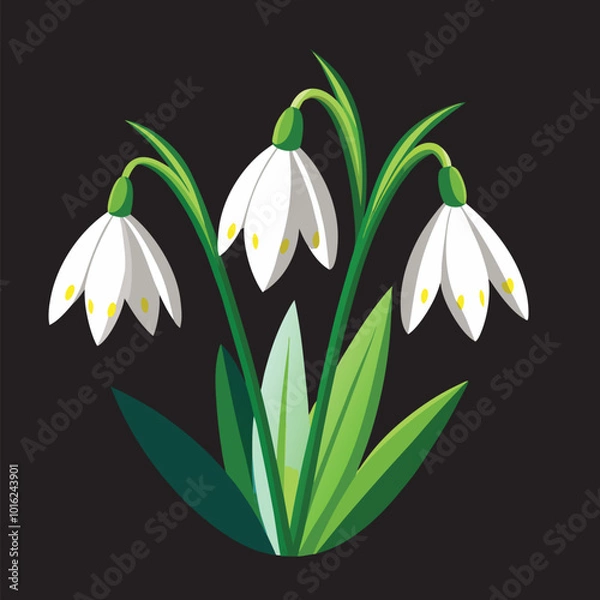Fototapeta How To make snowdrop flower Vector 3D Image