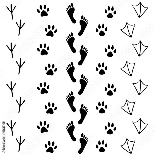 Fototapeta Vector set of human and animal, bird footprints icon. Collection of bare human foots, cat, dog, bird, chicken, hen, crow, duck footprint. Design for frames, invitation and greeting cards