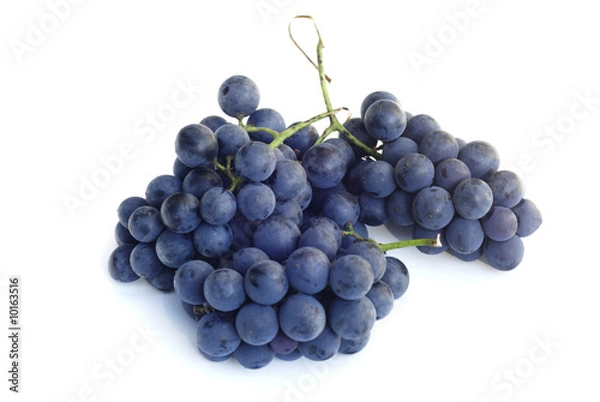 Obraz purpurowe winogrona Concord wyizolowanych na białym tle