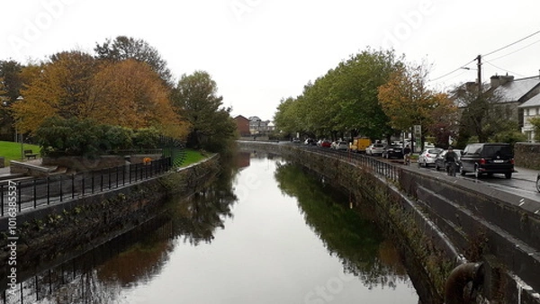 Fototapeta The grand canal in Dublin, Ireland, on a cloudy overcast day, the trees reflecting in the water