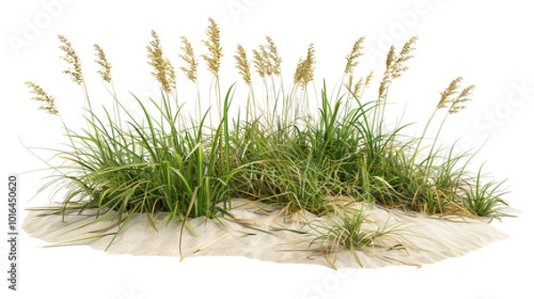 Obraz A coastal restoration project features a wave-like arrangement of sea oats and beach grass, designed to prevent erosion. The design is isolated on a PNG background. 