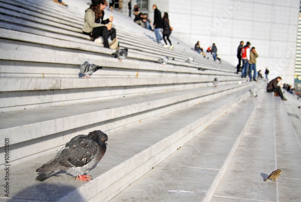 Obraz PARIS, FRANCE -17 DECEMBER 2011: Doves and people on the stairs of the Grande Arche in La Defense district in Paris
