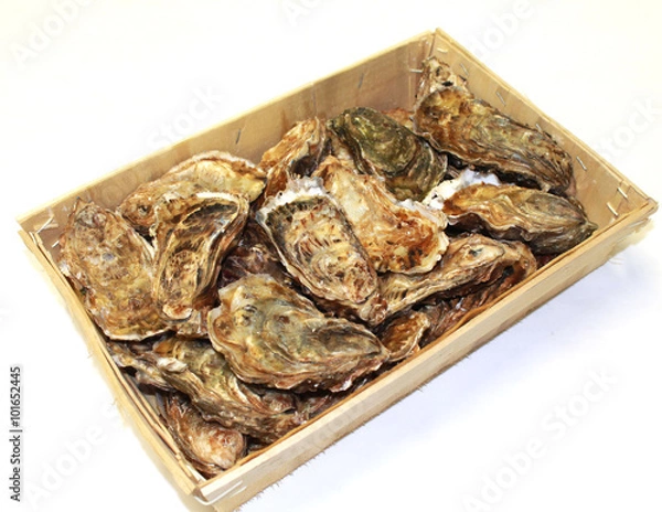 Obraz huîtres