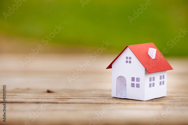 Obraz Little paper house