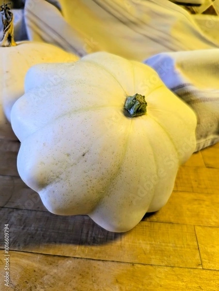 Obraz Patisson Kürbis 