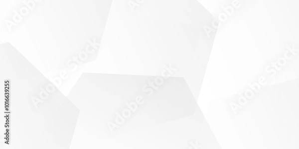Fototapeta Abstract grey white Geometric design background.background, pattern, abstract, vector, business, texture, design, technology, banner, paper, illustration, light, space, concept, wall, white, interior
