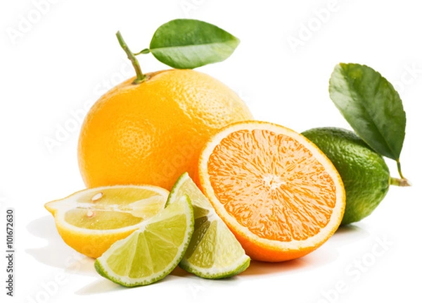 Obraz Fresh citrus fruits