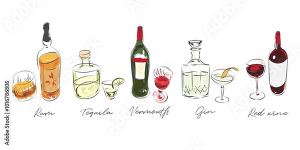 Obraz Line art drawings of liquor bottles, doodle style illustration, graphic decorative elements