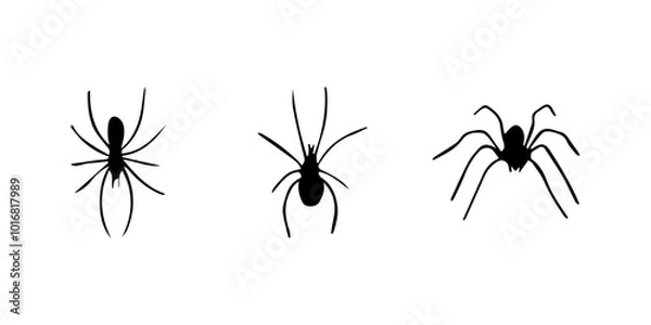 Fototapeta Spiders. Black bug spider silhouette. Scary Halloween animal arachnid, creepy dangerous insect, arachnophobia fear. Vector illustration
