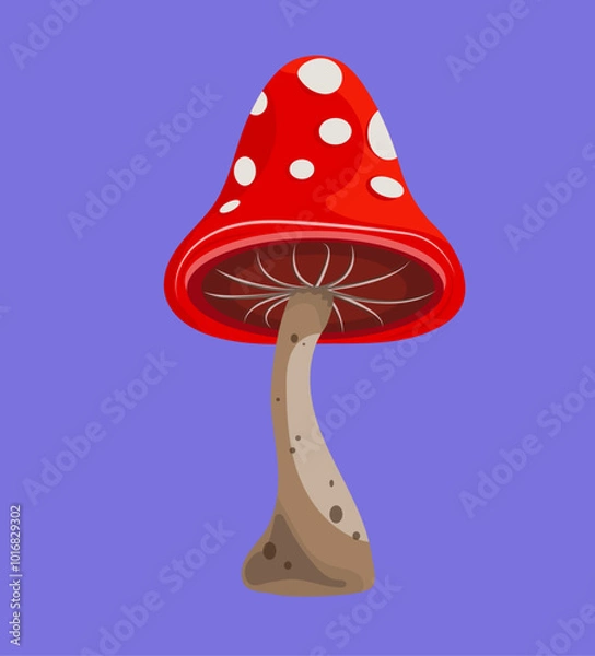 Obraz Mushroom