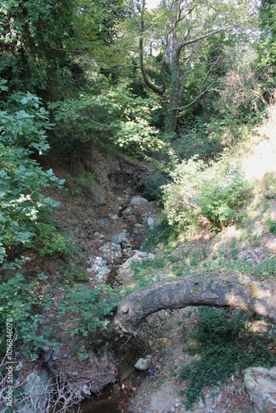 Fototapeta The path of the centaurs (after Cyclone Daniel) Portaria Pelion Greece