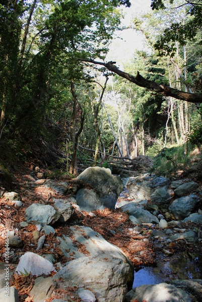 Fototapeta The path of the centaurs (after Cyclone Daniel) Portaria Pelion Greece