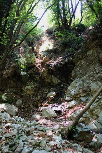 Fototapeta The path of the centaurs (after Cyclone Daniel) Portaria Pelion Greece