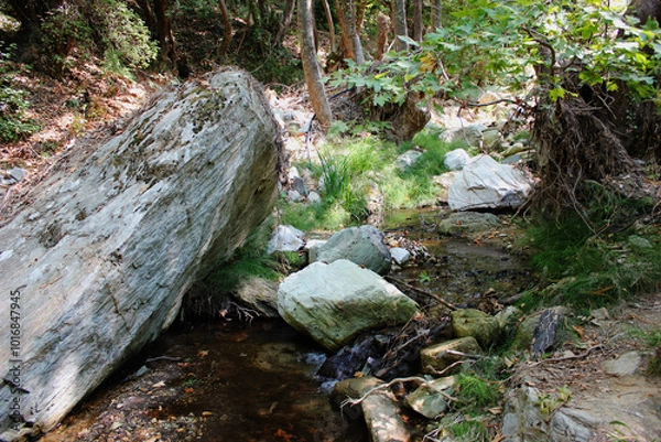 Fototapeta The path of the centaurs (after Cyclone Daniel) Portaria Pelion Greece