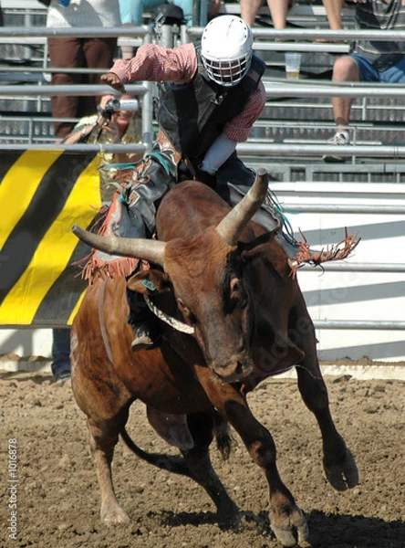 Obraz bull & rider