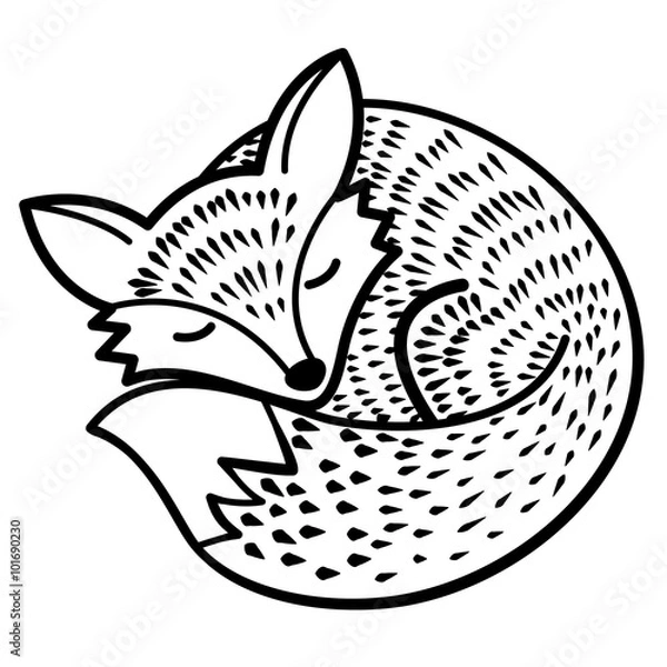 Fototapeta Vector isolated fox. Black and white
