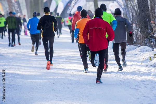 Obraz Winter running, Winter jogging, outdoor winter activities 
