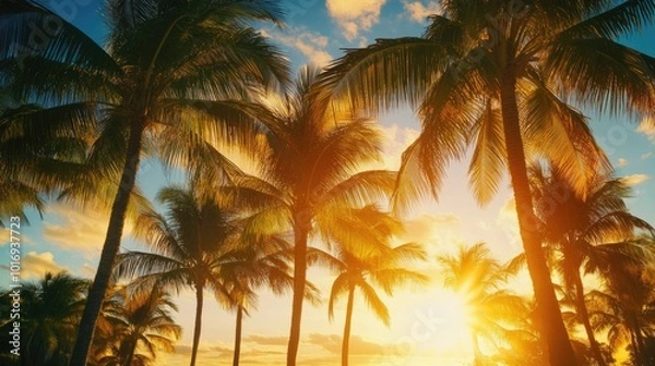 Fototapeta Tropical Sunset with Palm Trees Silhouetted